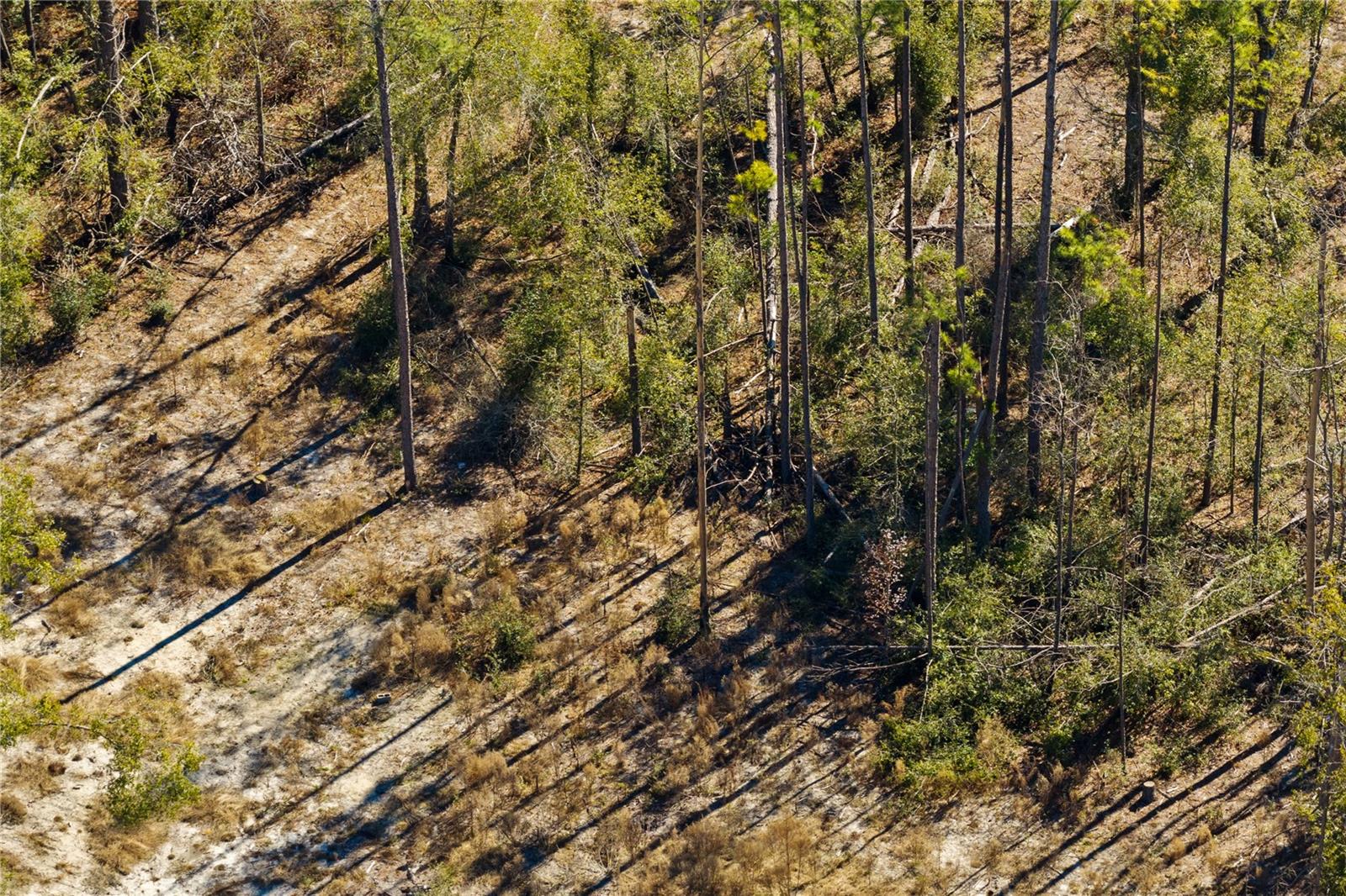 Image 30 of 69 For 12th Terrace