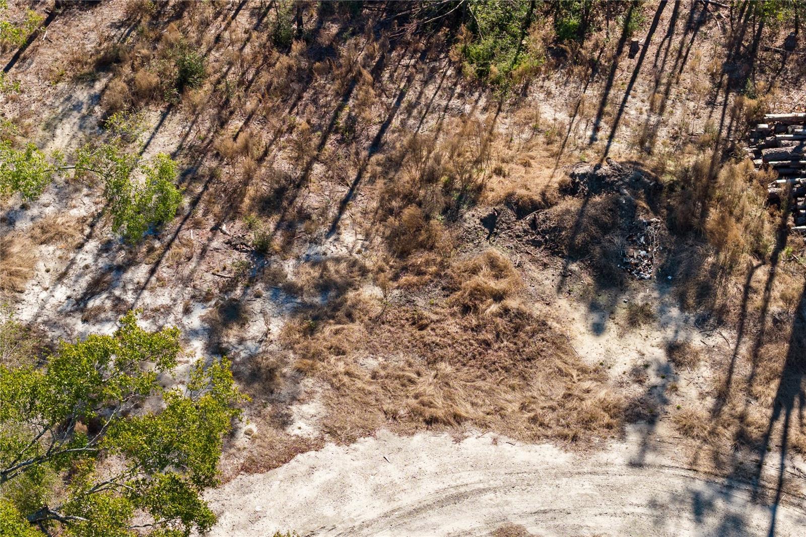 Image 31 of 69 For 12th Terrace