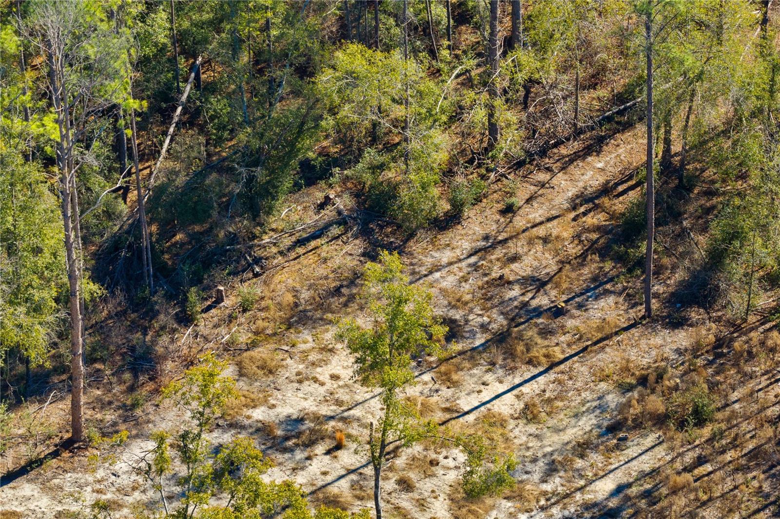 Image 32 of 69 For 12th Terrace