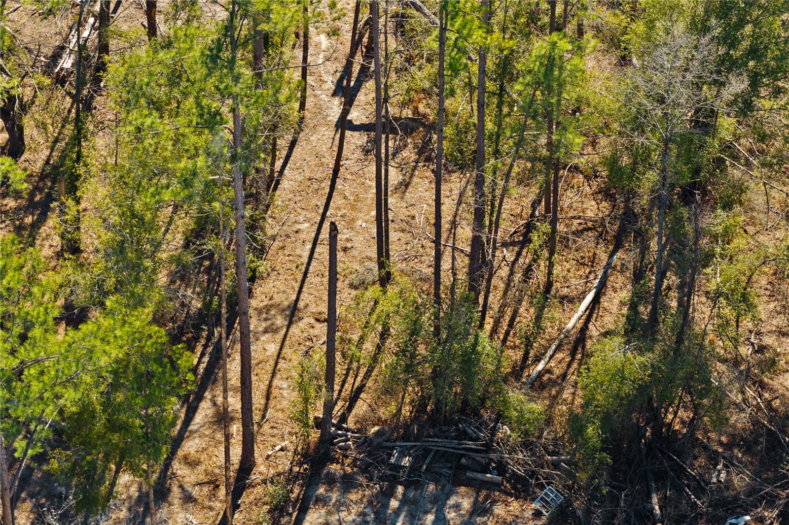 Image 34 of 69 For 12th Terrace