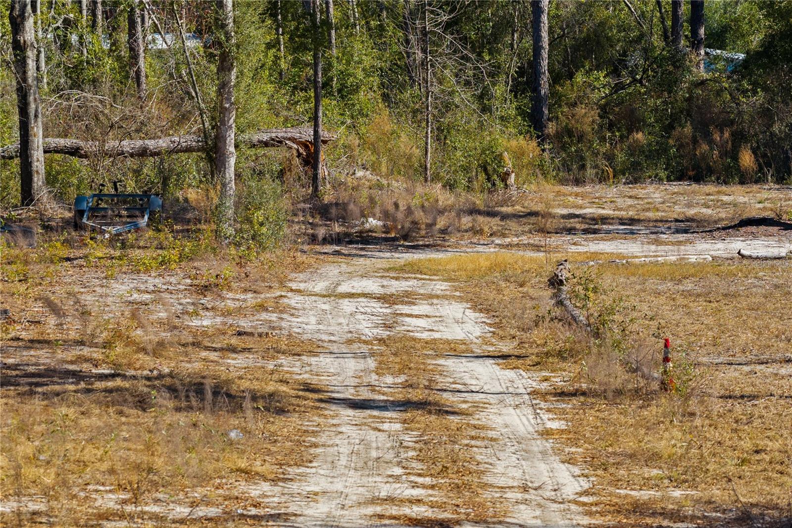 Image 50 of 69 For 12th Terrace