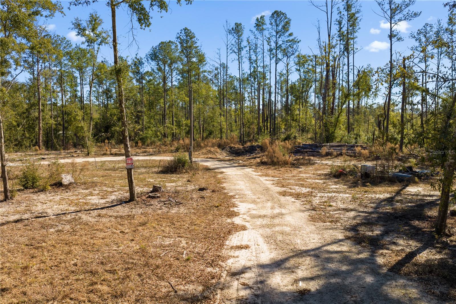 Image 52 of 69 For 12th Terrace