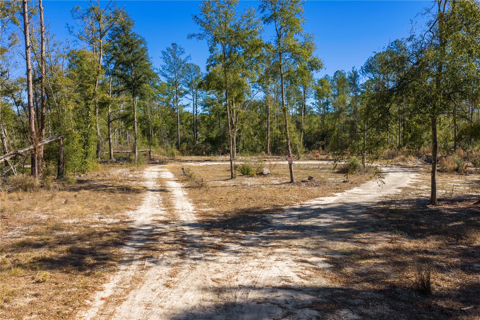 Image 53 of 69 For 12th Terrace