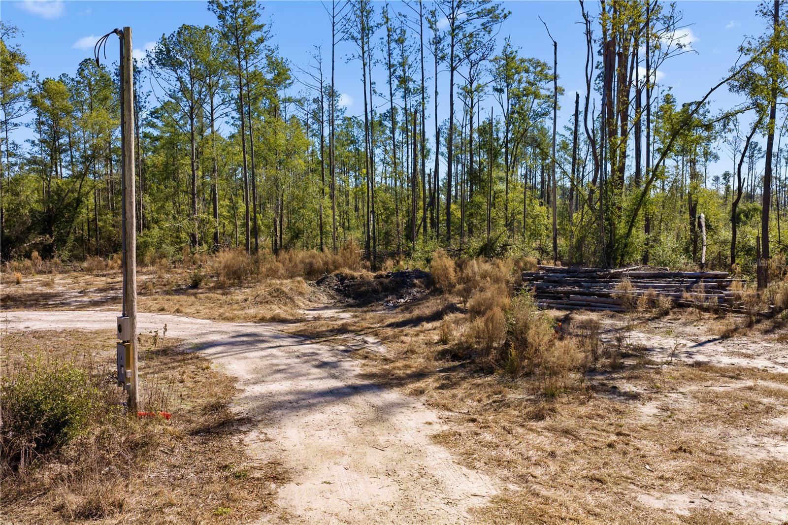 Image 56 of 69 For 12th Terrace