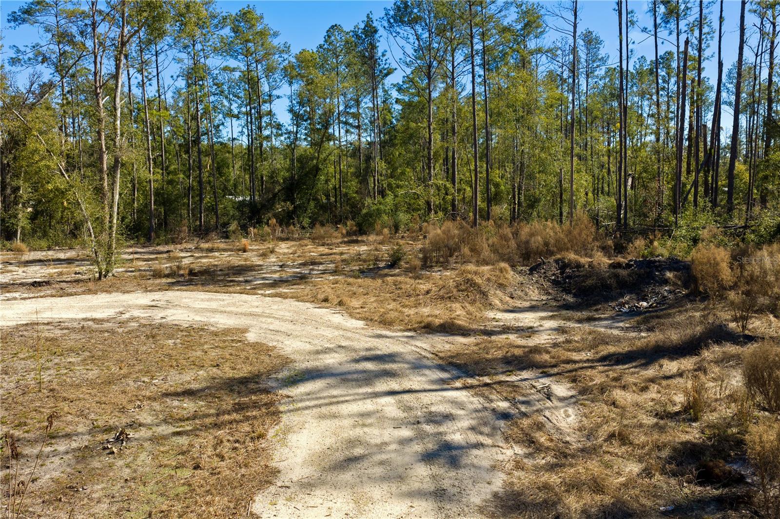 Image 57 of 69 For 12th Terrace