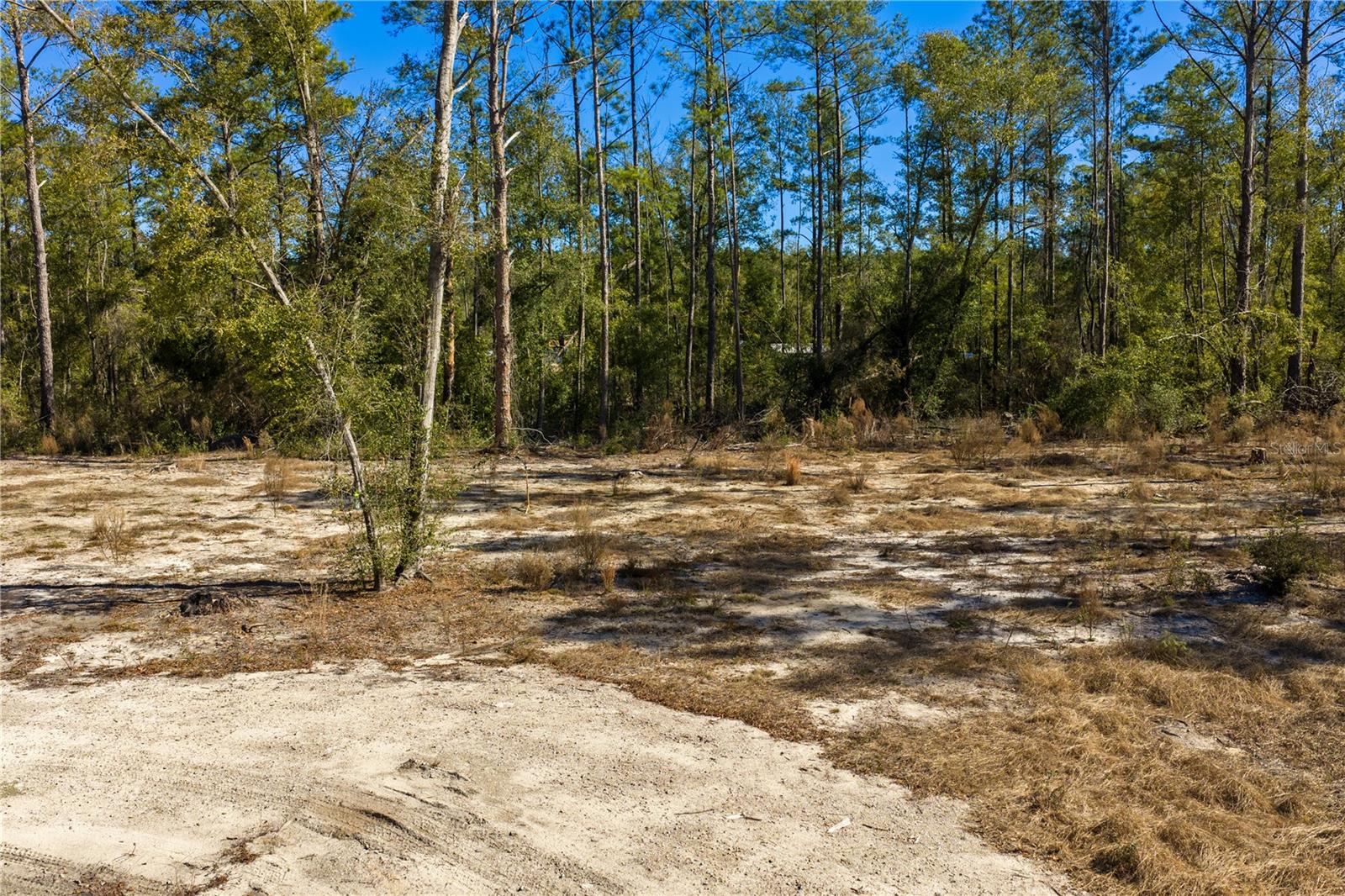 Image 58 of 69 For 12th Terrace