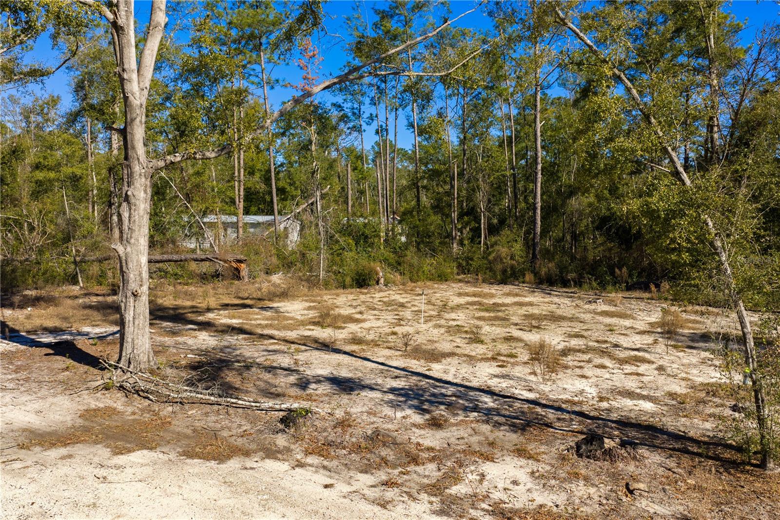 Image 59 of 69 For 12th Terrace