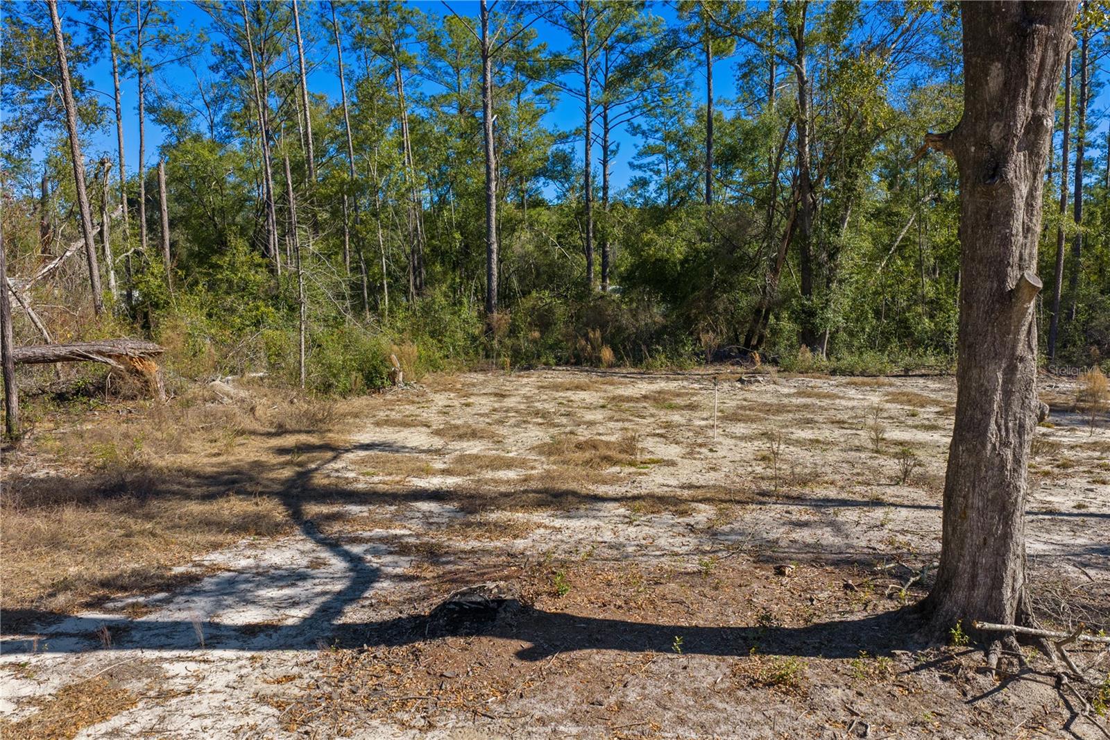 Image 62 of 69 For 12th Terrace