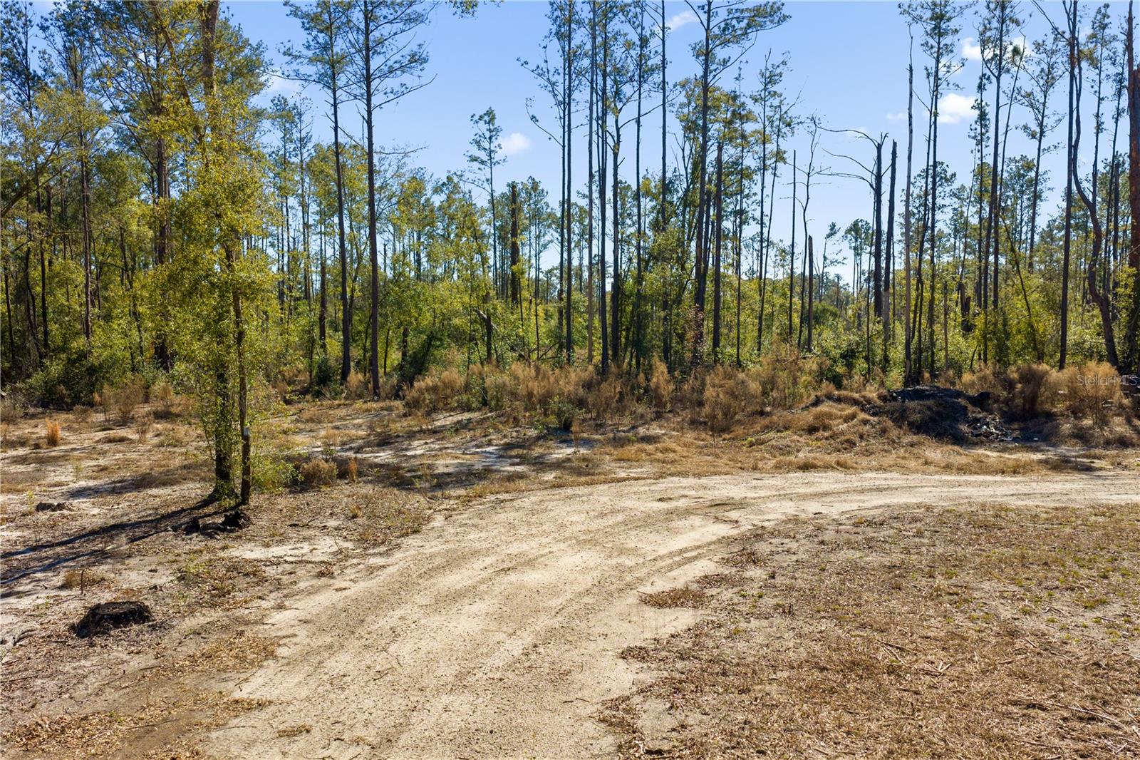 Image 63 of 69 For 12th Terrace