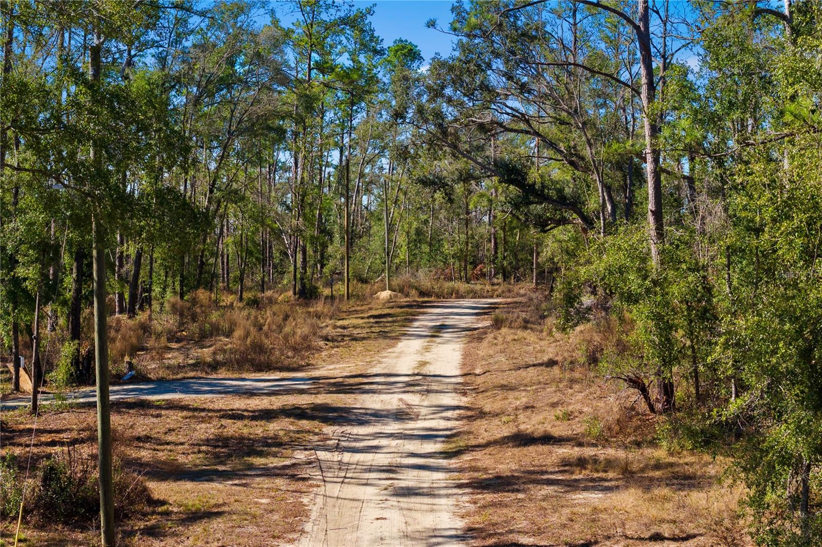 Image 64 of 69 For 12th Terrace