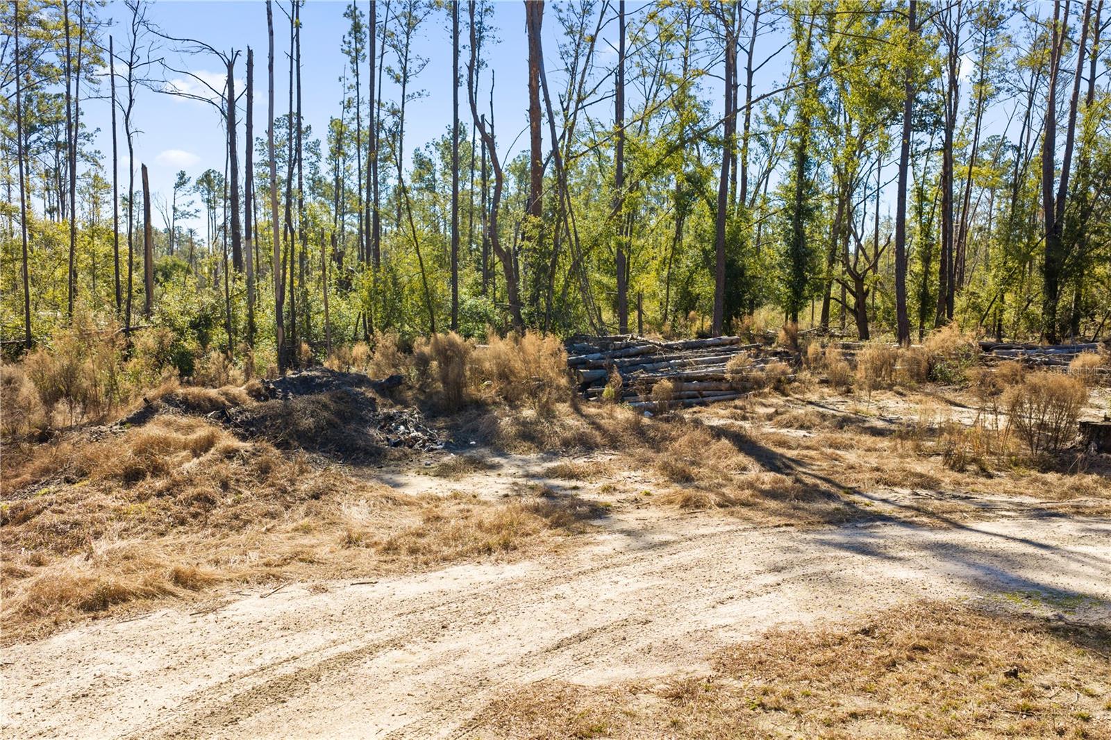 Image 65 of 69 For 12th Terrace