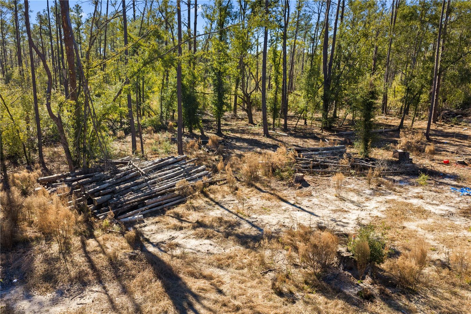 Image 66 of 69 For 12th Terrace