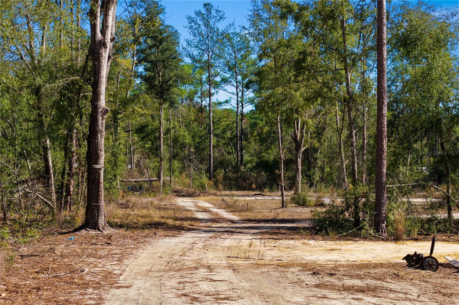 Image 67 of 69 For 12th Terrace