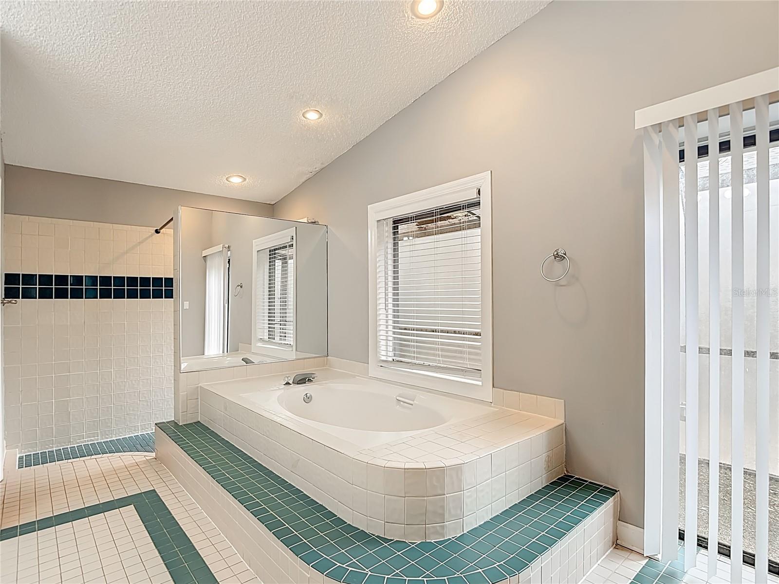 Image 46 of 86 For 1736 Pine Creek Court