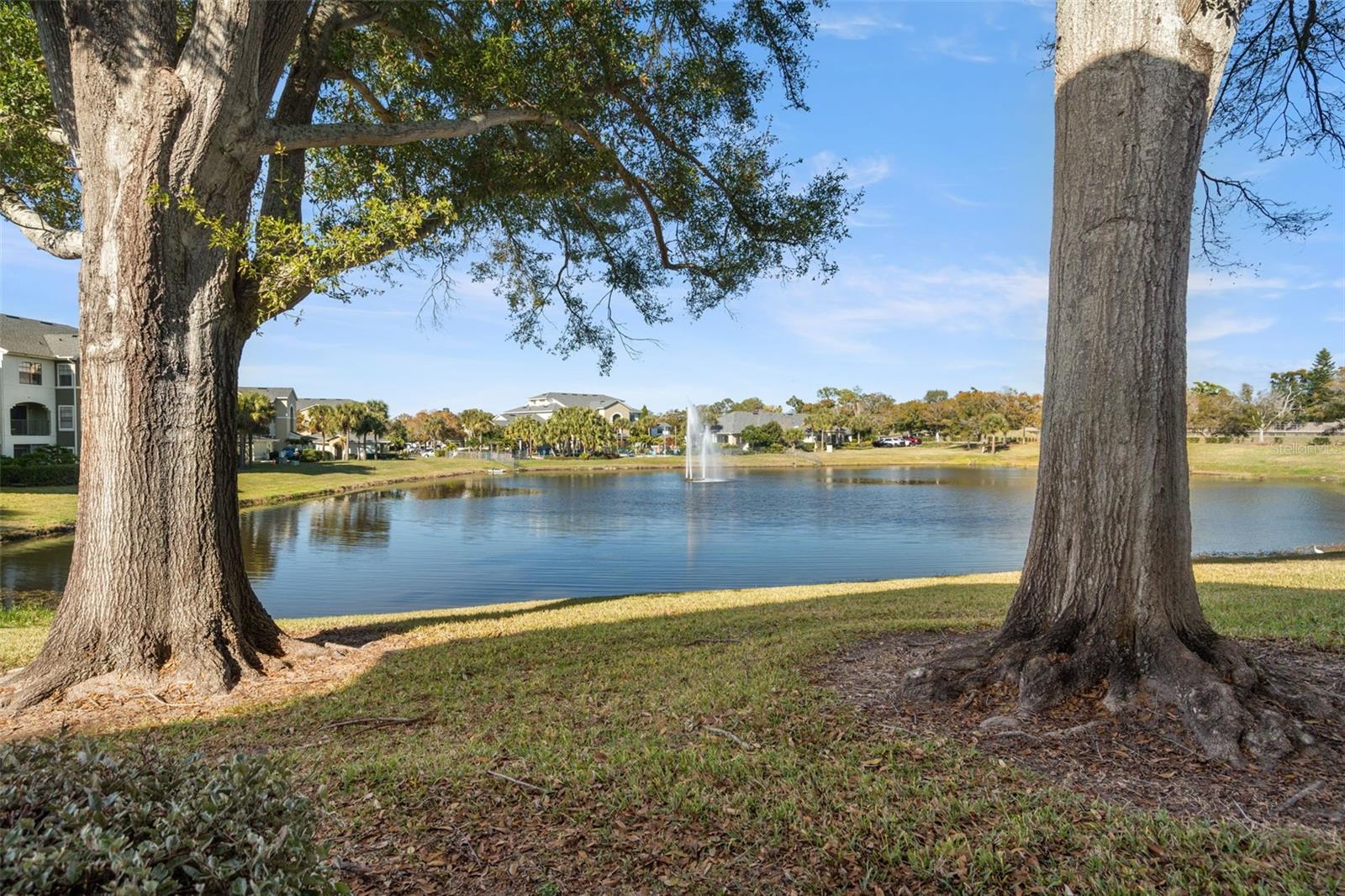 Image 26 of 28 For 1438 Millstream Lane 102