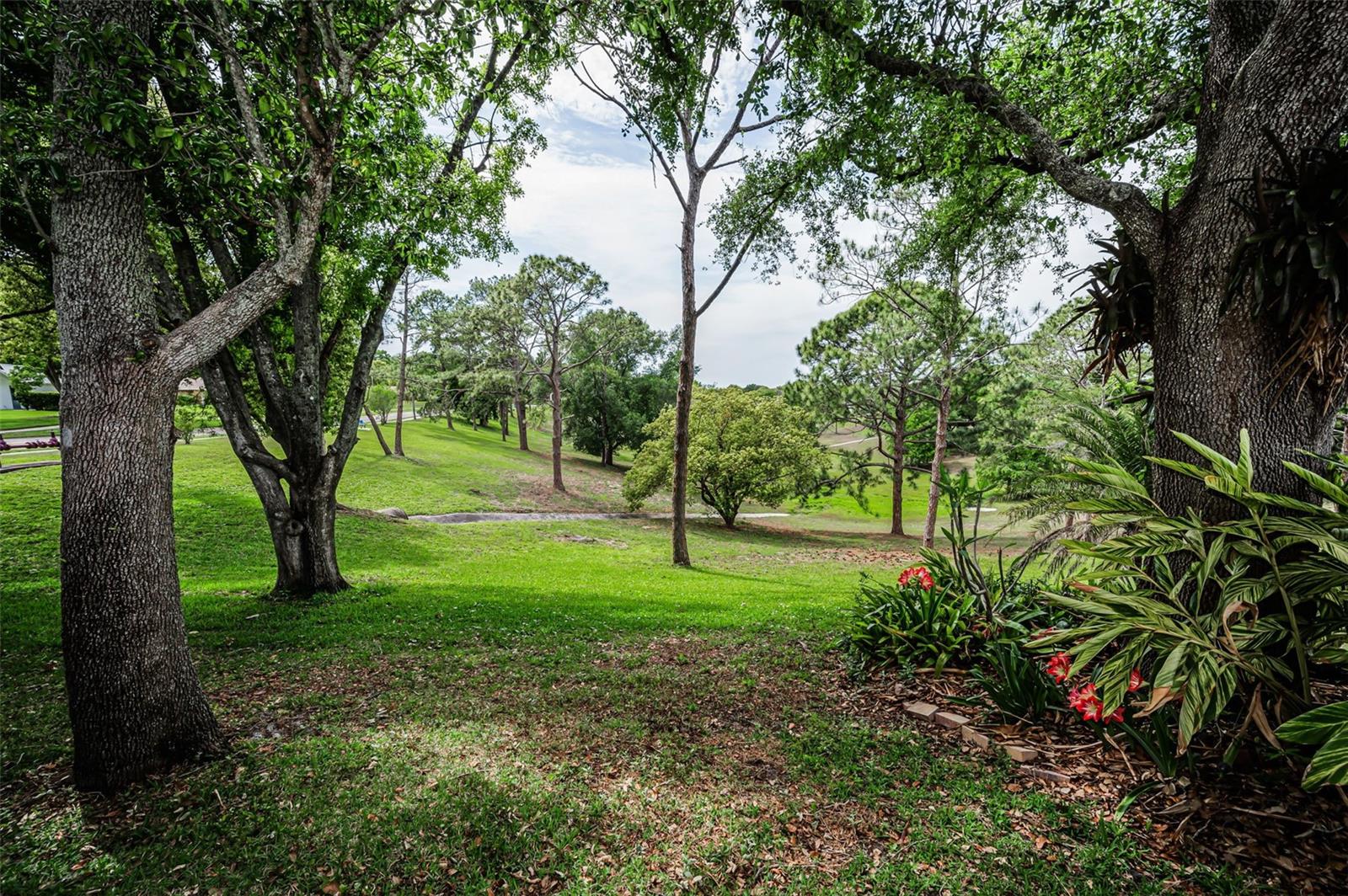 Image 55 of 72 For 1700 Macdonnell Drive