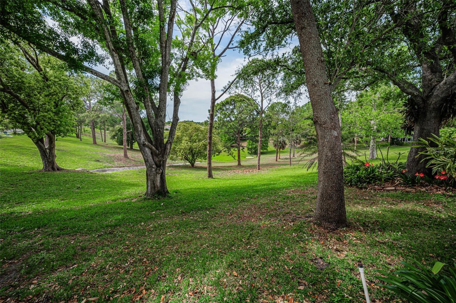 Image 56 of 72 For 1700 Macdonnell Drive