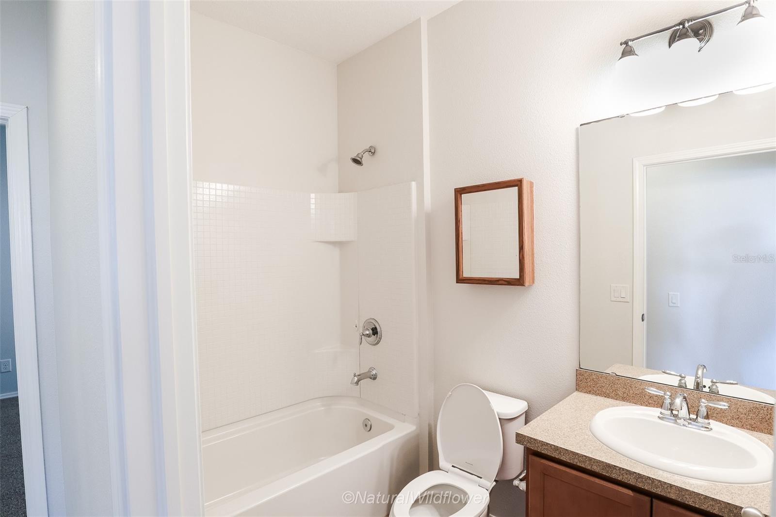 Image 17 of 30 For 783 Petal Mist Lane