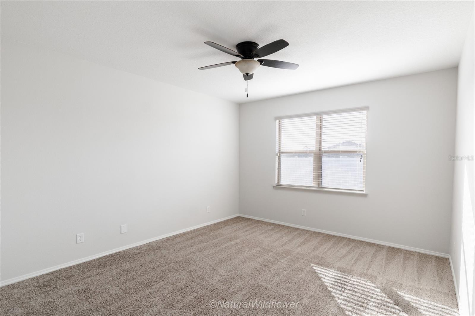 Image 22 of 30 For 783 Petal Mist Lane