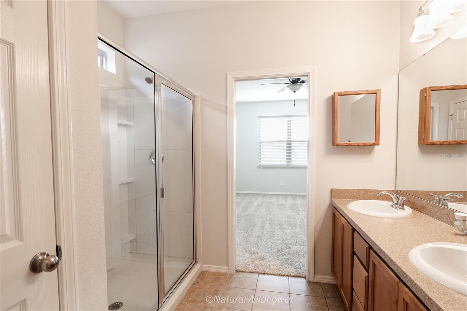 Image 25 of 30 For 783 Petal Mist Lane