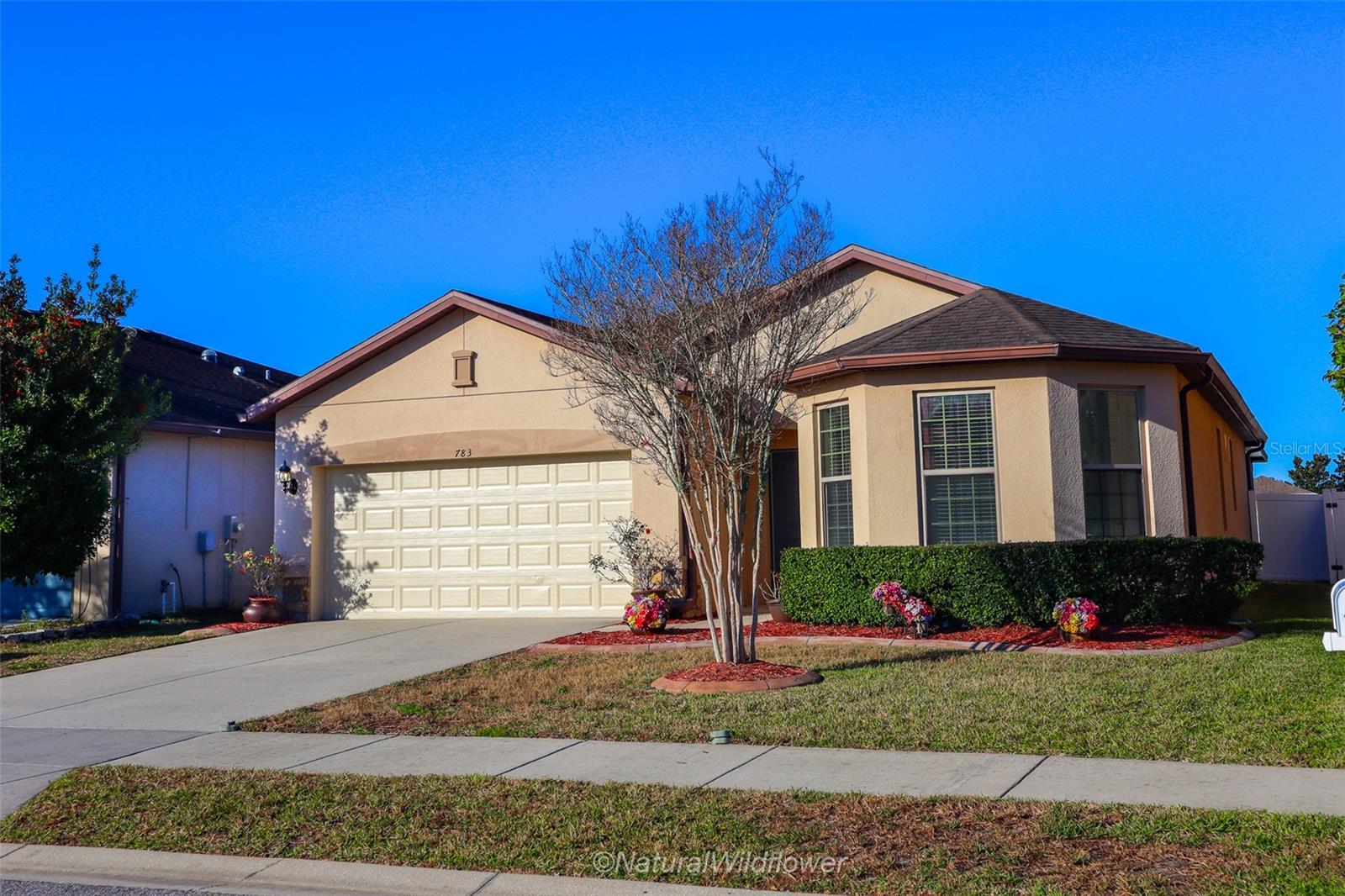 Image 28 of 30 For 783 Petal Mist Lane