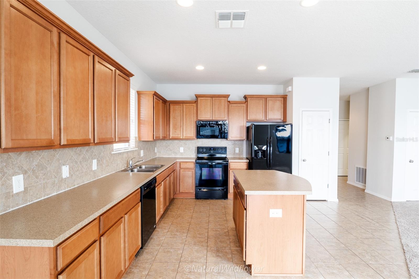 Image 3 of 30 For 783 Petal Mist Lane