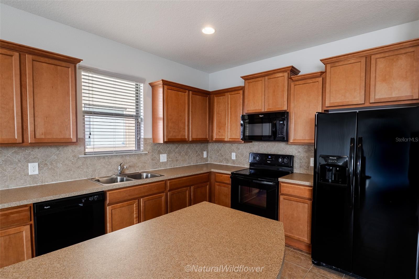 Image 4 of 30 For 783 Petal Mist Lane