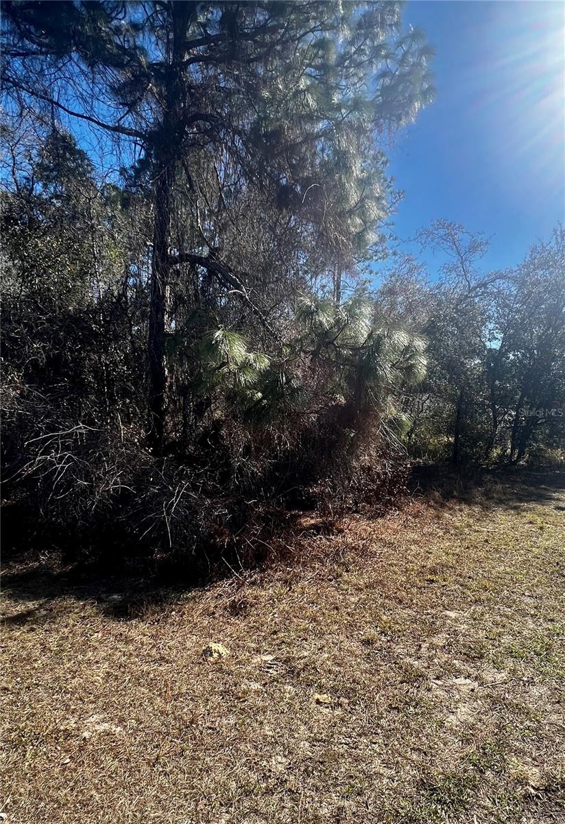 Listing photo id 1 for 8039 Creek Way