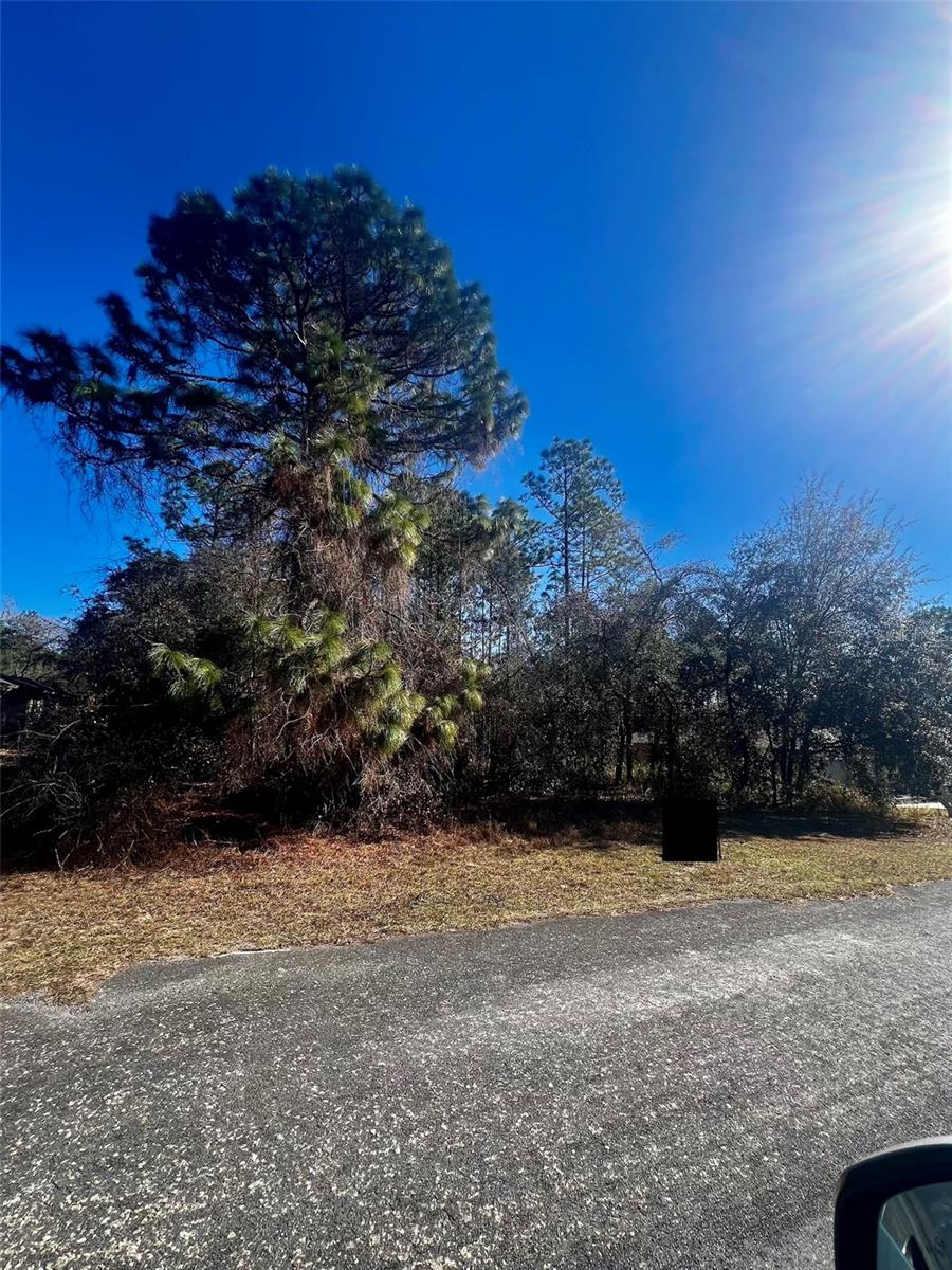 Listing photo id 2 for 8039 Creek Way