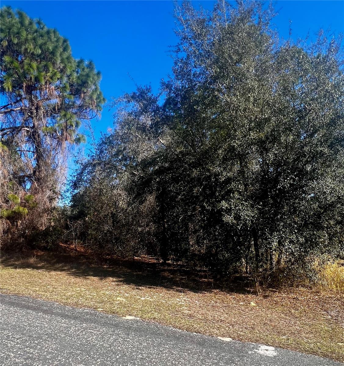 Listing photo id 5 for 8039 Creek Way