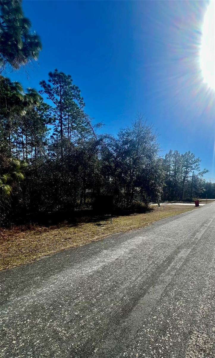 Listing photo id 6 for 8039 Creek Way