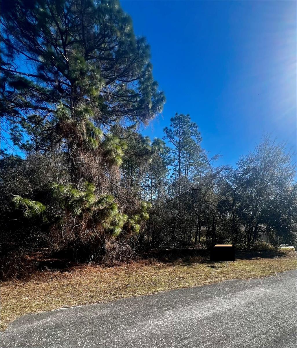 Listing photo id 7 for 8039 Creek Way