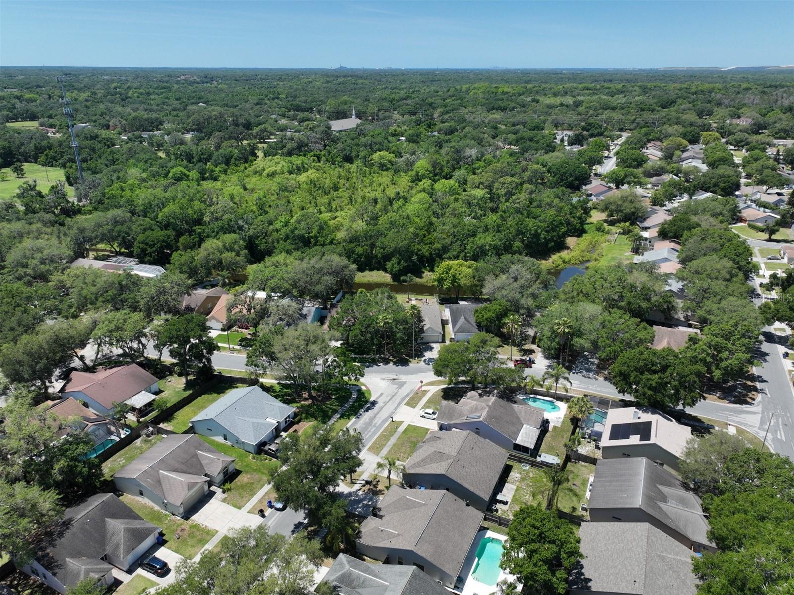 Image 31 of 31 For 1204 Sawdust Court