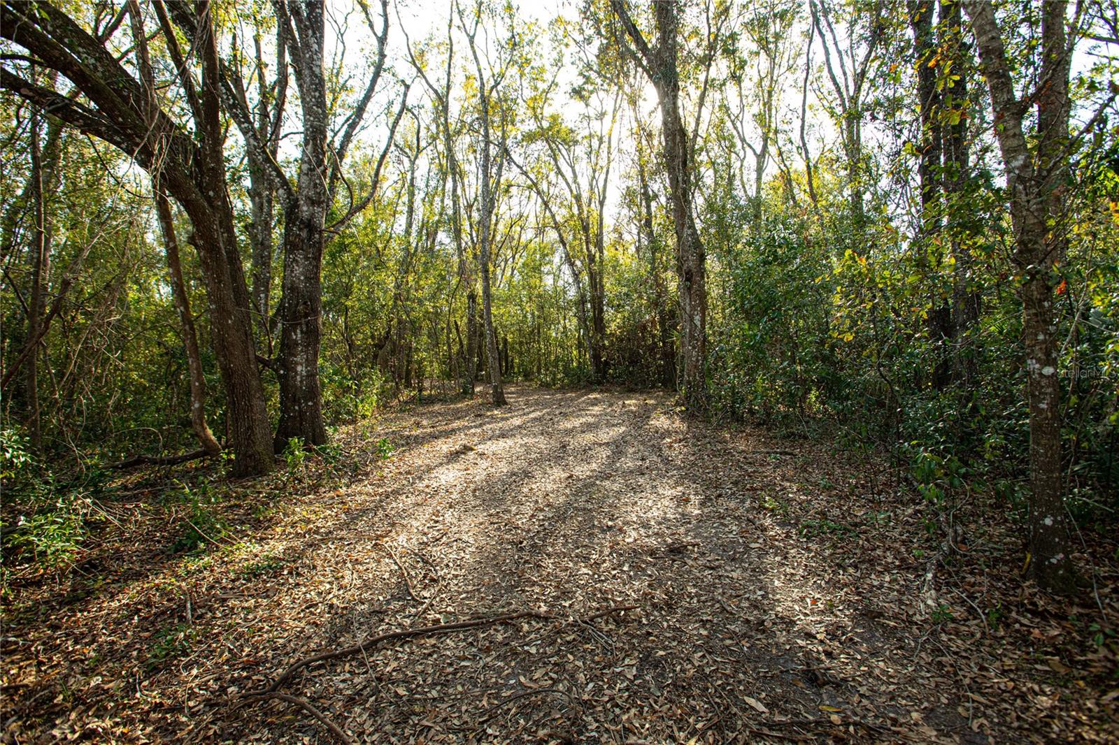 Image 10 of 16 For Dr M L King Jr Boulevard