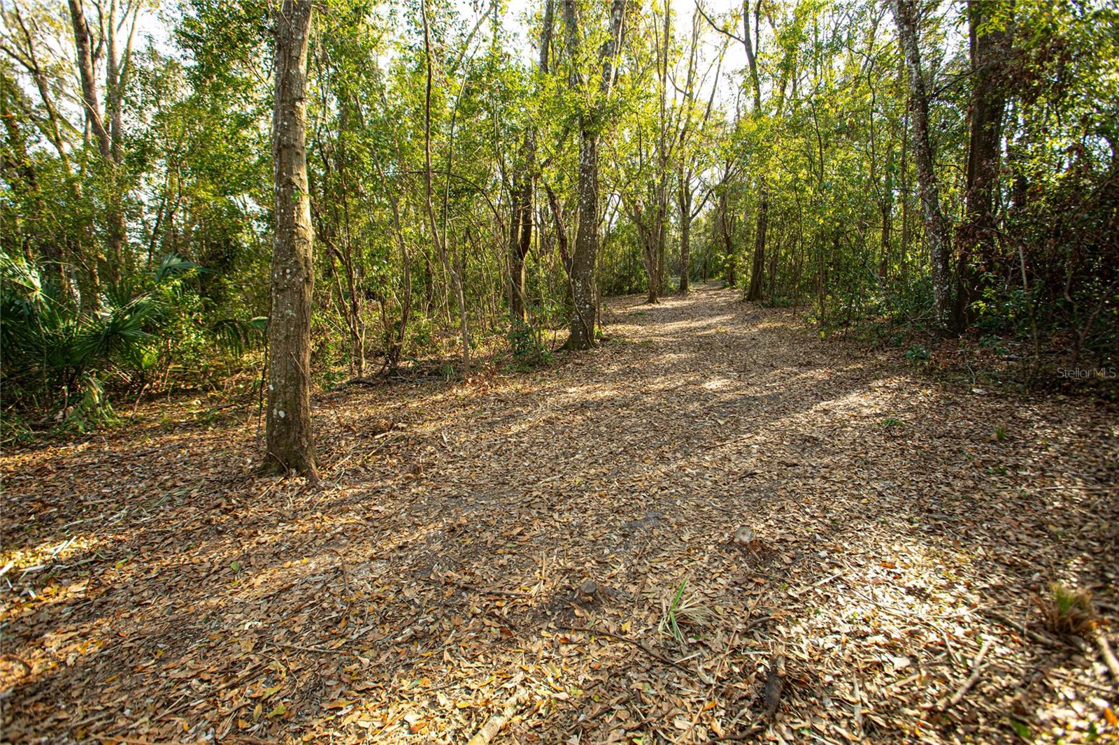 Image 11 of 16 For Dr M L King Jr Boulevard