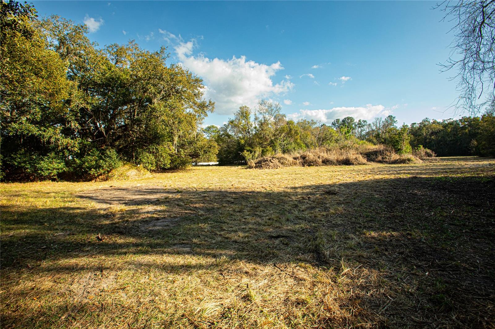 Image 12 of 16 For Dr M L King Jr Boulevard