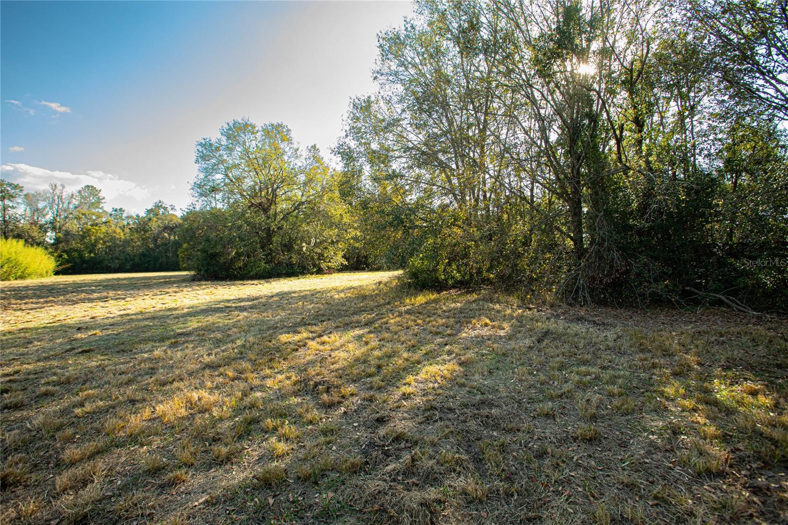 Image 13 of 16 For Dr M L King Jr Boulevard