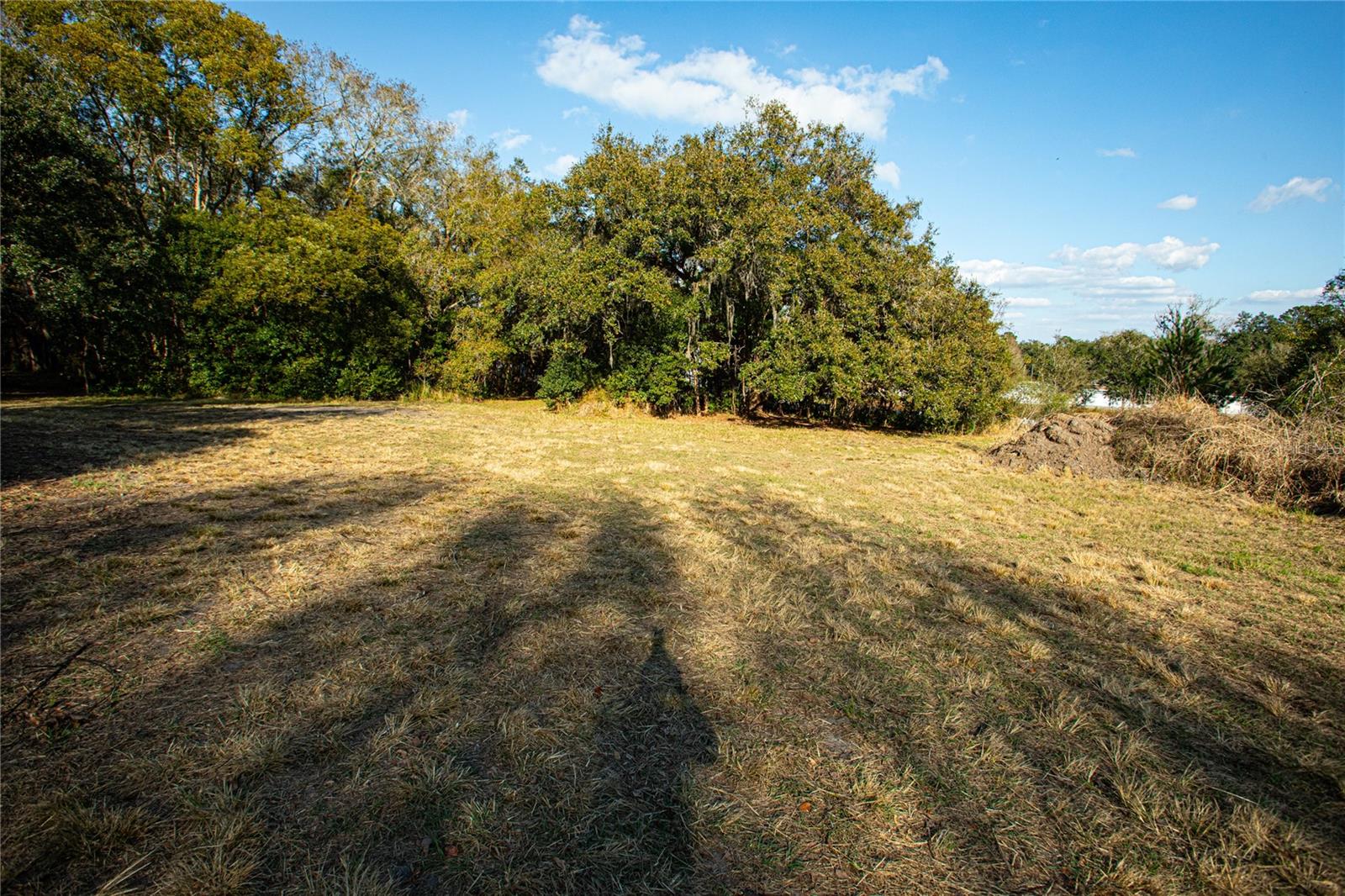 Image 14 of 16 For Dr M L King Jr Boulevard