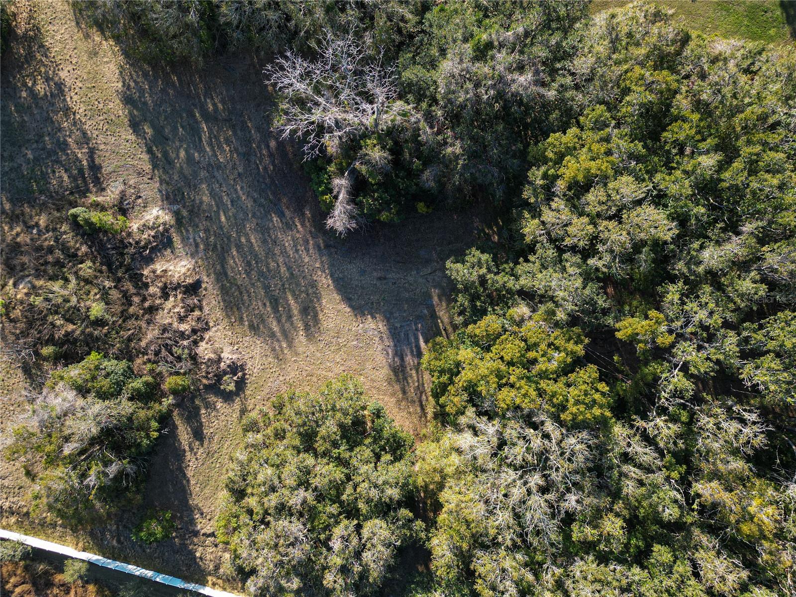 Image 4 of 16 For Dr M L King Jr Boulevard