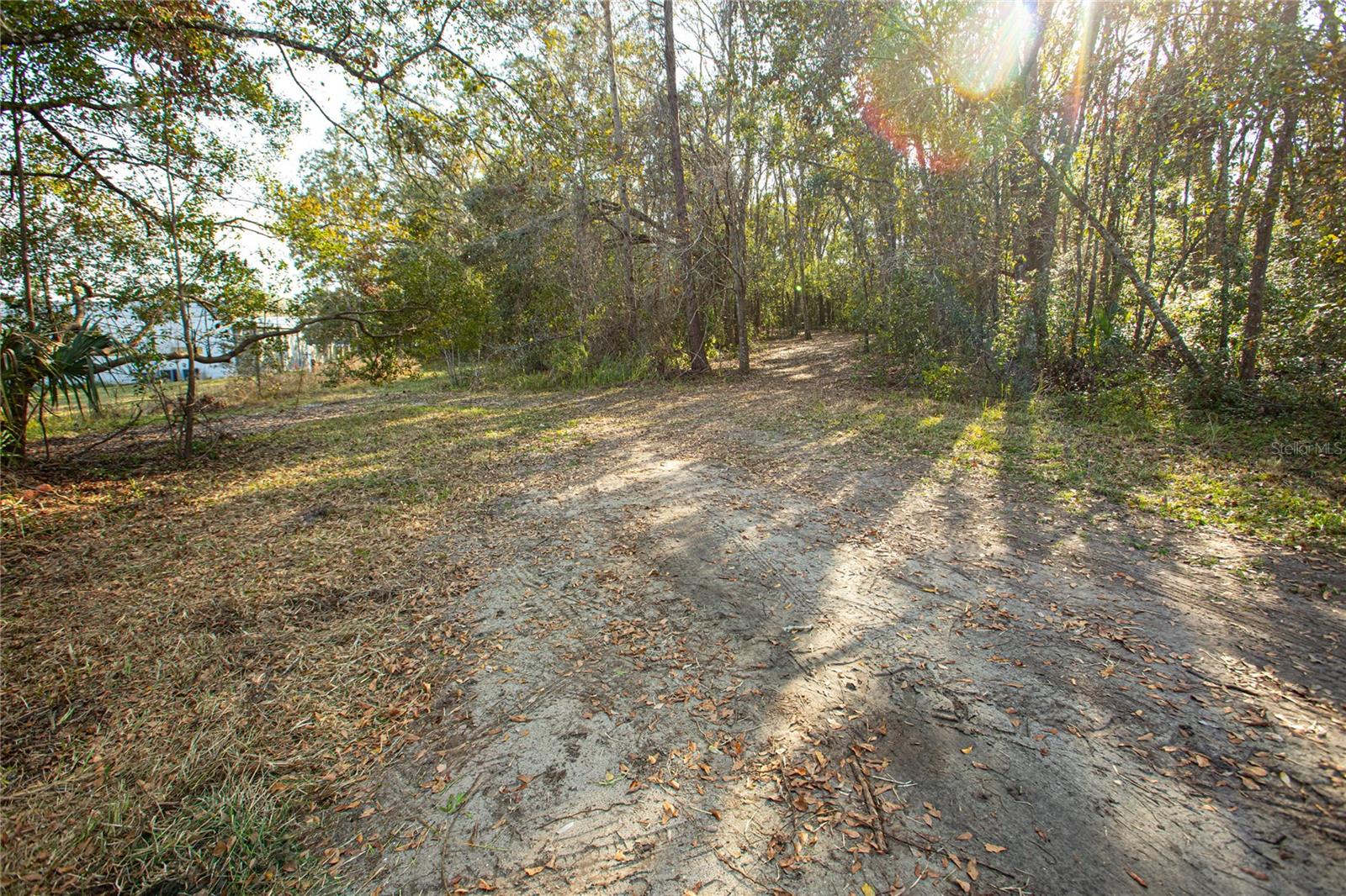 Image 7 of 16 For Dr M L King Jr Boulevard