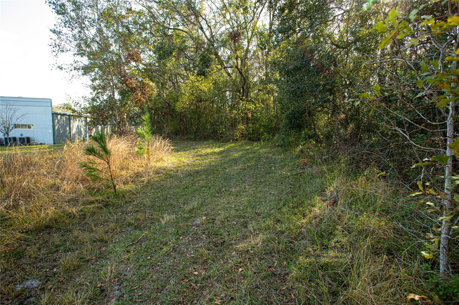 Image 9 of 16 For Dr M L King Jr Boulevard