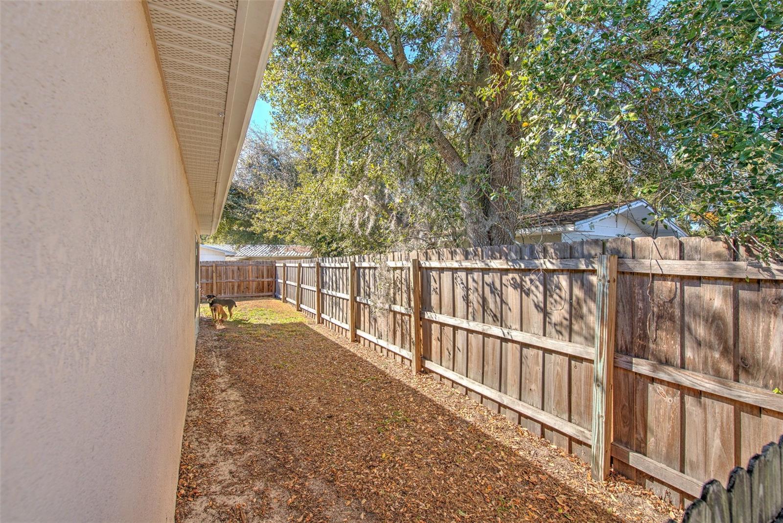 Image 33 of 41 For 38021 10 Th Ave