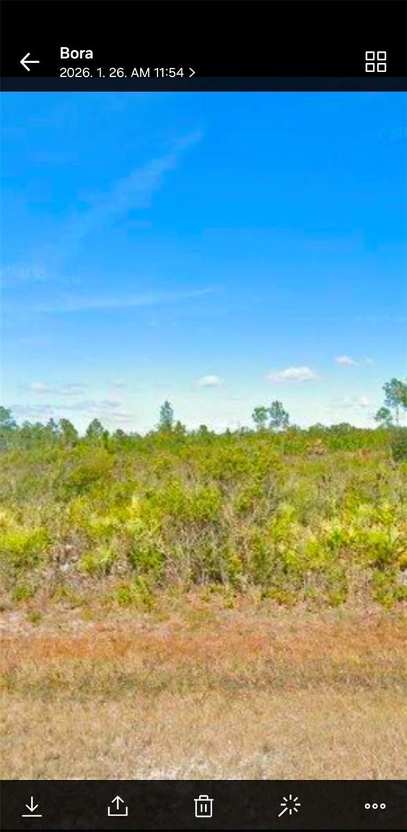 Details for 906 Calliandra Drive, INDIAN LAKE ESTATES, FL 33855