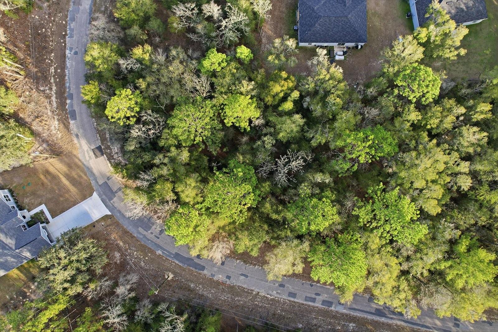 Listing photo id 10 for 10887 Ocean Drive