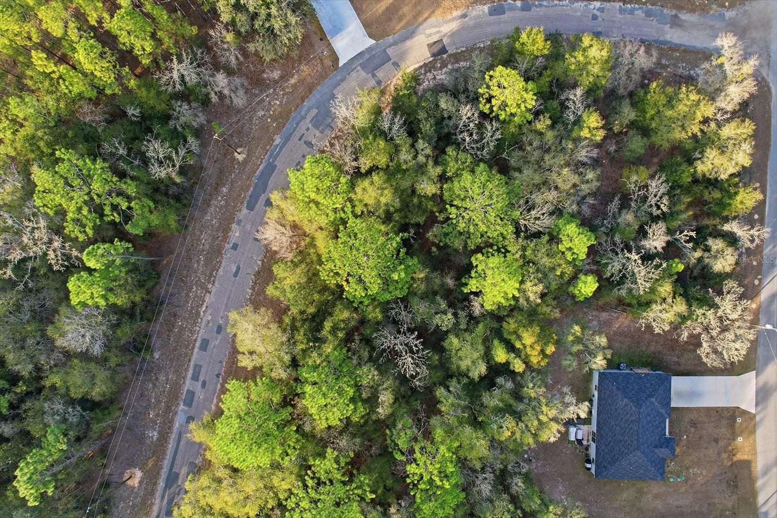 Listing photo id 12 for 10887 Ocean Drive