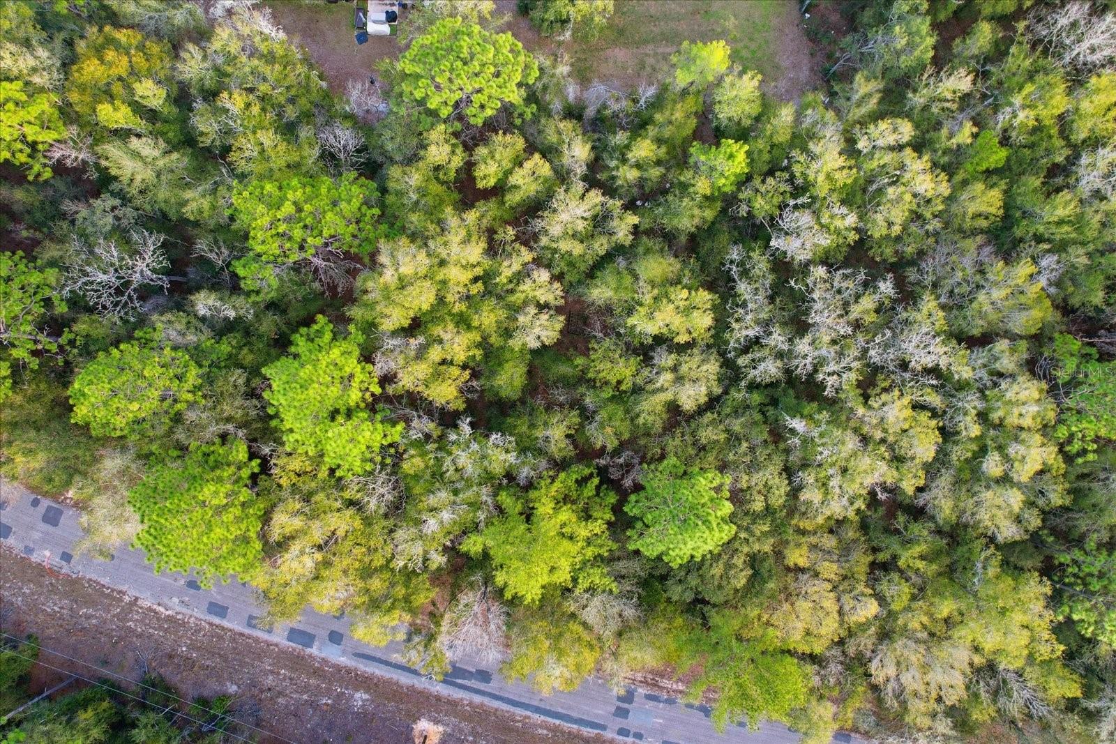 Listing photo id 18 for 10887 Ocean Drive