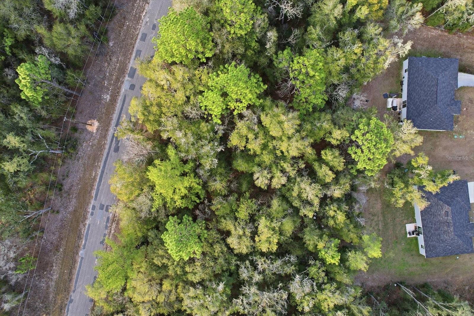 Listing photo id 19 for 10887 Ocean Drive