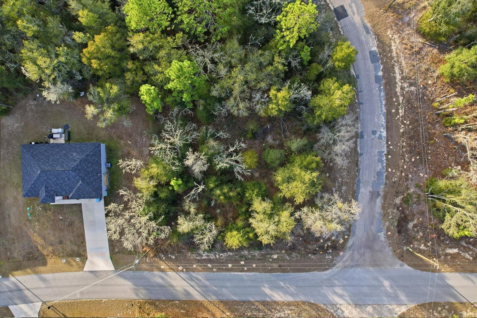 Listing photo id 4 for 10887 Ocean Drive