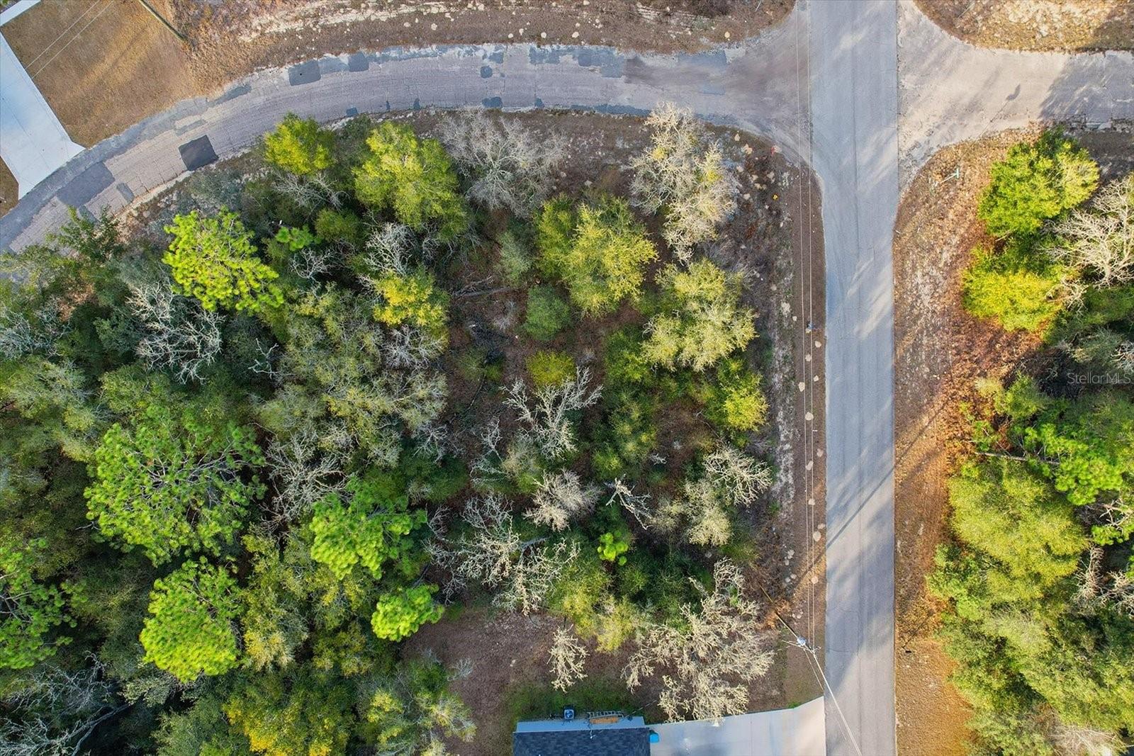 Listing photo id 5 for 10887 Ocean Drive