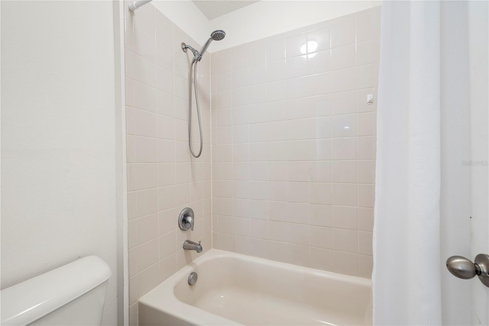 Image 37 of 64 For 1565 Feather Grass Loop